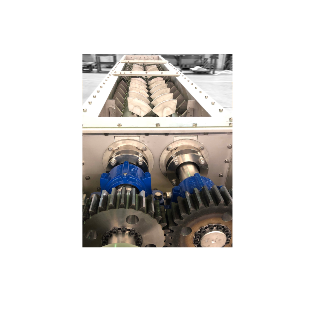 Paddelmischschnecken